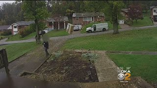 Get Marty Amazon Driver Caught On Video Mishandling Package