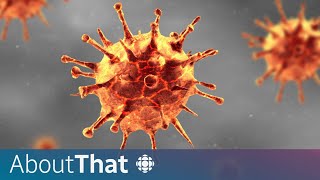How do viruses mutate? | About That