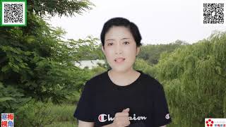 20200711-2【中国新挑战！南北两股蝗群，铺天盖地】【寒梅视角】