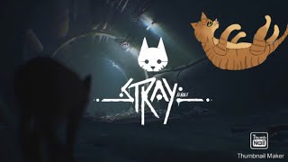 We in the dead city - Stray 2 ?