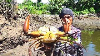 HUNTING CRAB!! BERANI SEKALI MEROGOH KEPITING BESAR DI DALAM LUBANG DENGAN TANGAN KOSONG