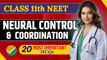 NEET MCQ for Neural Control and Coordination | Class 11 Biology | NEET 2025 | vermastudyzone