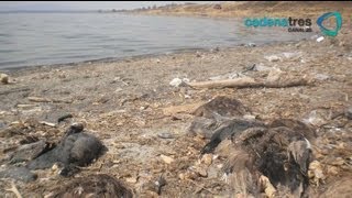 Grieta seca laguna de Zumpango, Estado de México