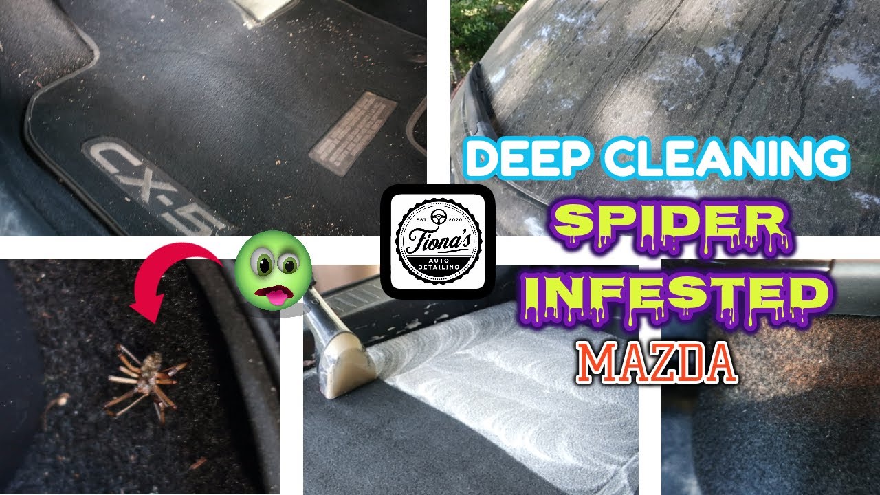 Deep Clean Detailing Spider INFESTED Mazda Complete Interior