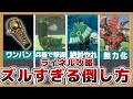 【ティアキン】セコいライネルの倒し方5選【ゼルダの伝説 ティアーズオブザキングダム】