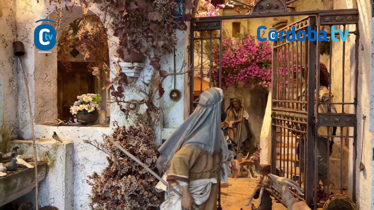 PATIOS 2025 MAESE LUIS 4