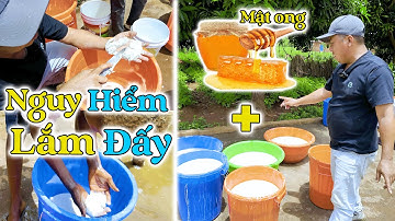 Đông Paulo || Nguy Hiểm Lắm, Đừng Dại Cho Thứ Này Vào Sắn Dây! Điều Cấm Kỵ Không Phải Ai Cũng Biết