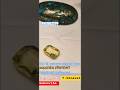 100% NATURAL #YELLOW# BLUE #SAPPHIRE PITAMBARI #CEYLONI #(SRILANKA)# CONTACT 9163562299