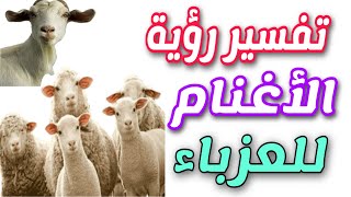 تفسير رؤية الأغنام للعزباء فى المنام