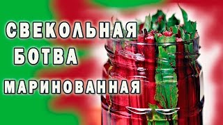 ♨ Свекольная ботва маринованная ♨ ♨ Свекольная ботва маринованная ♨