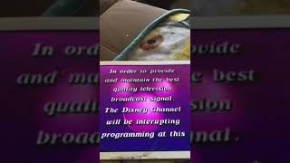 Disney Channel Transmitter Maintenance Screen 1988