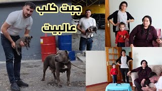 جبت كلب عالبيت 🐕‍🦺// شوفو رده فعل امي وفريده // أقوى مقلب استفزاز 🥺