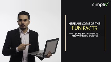 Python Fun Facts in 1 Minute!