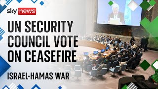 Israel-Hamas war: UN Security Council votes on humanitarian ceasefire in Gaza