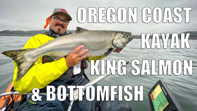 King Salmon Fishing UNDER A BRIDGE! Underwater Footage, BOBBER DOWN