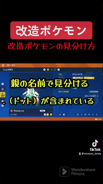 ポケモン 改造 怖い