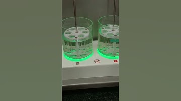 Disintegration test, disintegration test apparatus, m pharm , pharmaceutics