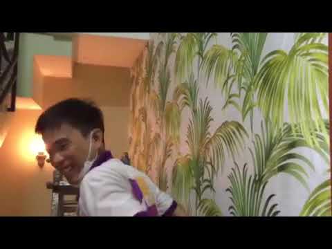 Video Thi công giấy dán tường lá cây nhiệt đới - youtube