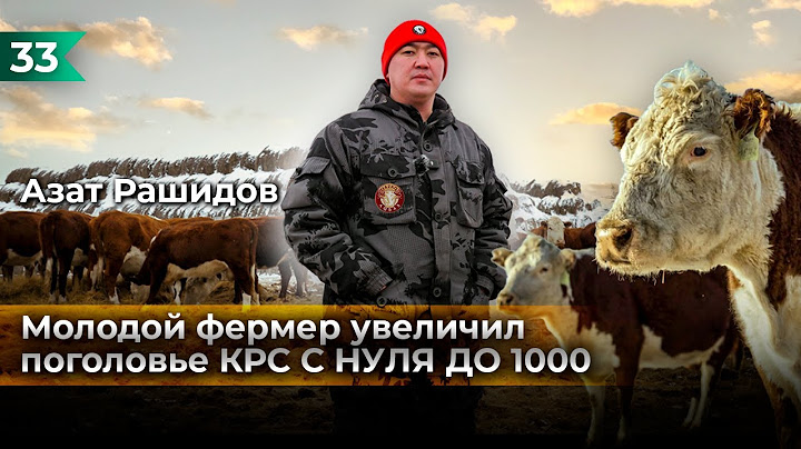 Как вырастить 1000 голов КРС с нуля?! Азат Рашидов!