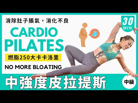 消除肚子脹氣、消化不良  30分鐘 中強度有氧皮拉提斯 加強腹部蠕動、刺激消化系統 🔥 燃燒 250 大卡 🔥 30 MIN CARDIO PILATES NO MORE BLOATING 莎夏 中級