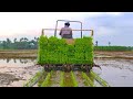 Kubota Rice Transplanter Spv - 6md Performance | Full Features and Specifications