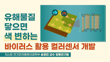 유해물질 닿으면 색 변하는 바이러스 활용 컬러센서 개발_지스트 전기전자컴퓨터공학부 송영민 교수 연구팀
