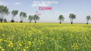 Afrin Şehitlerine Duvak Şiiri Dursun Ali Erzincanlı Resimi