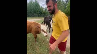 Farmer reunited with animals after DEVASTATING FLOOD