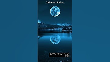 فان مع العسر يسرا🤍 #ايات_قرانيه_قصيره #اكسبلور #المصحف #quran #لايك #duet #راحة_نفسية #ترند #آيات
