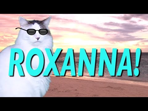 happy-birthday-roxanna!---epic-cat-happy-birthday-song