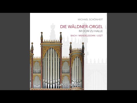 Guarda Passacaglia in C Minor, BWV 582 su YouTube