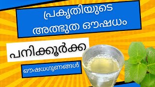 പനകകർകക എനന പരകതയട അതഭത ഔഷധ Health Tips Malayalam Ayurveda Arogyam Health Care