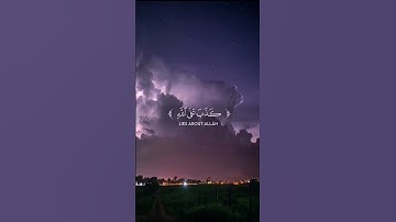 سورة الزمر || آية ٣٠-٣٣ (Surah Az-Zumar) ﷽#quran  #قرآن  #yasseraldossari