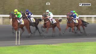 Vidéo de la course PMU PRIX DE L'ETRIER D'OR 2017