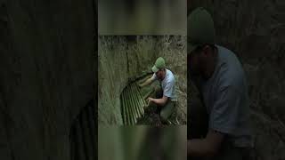 Building Bushcraft Underground Dugout Survival Shelter Camping #shorts #47