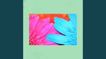 Magical Commuting Summers