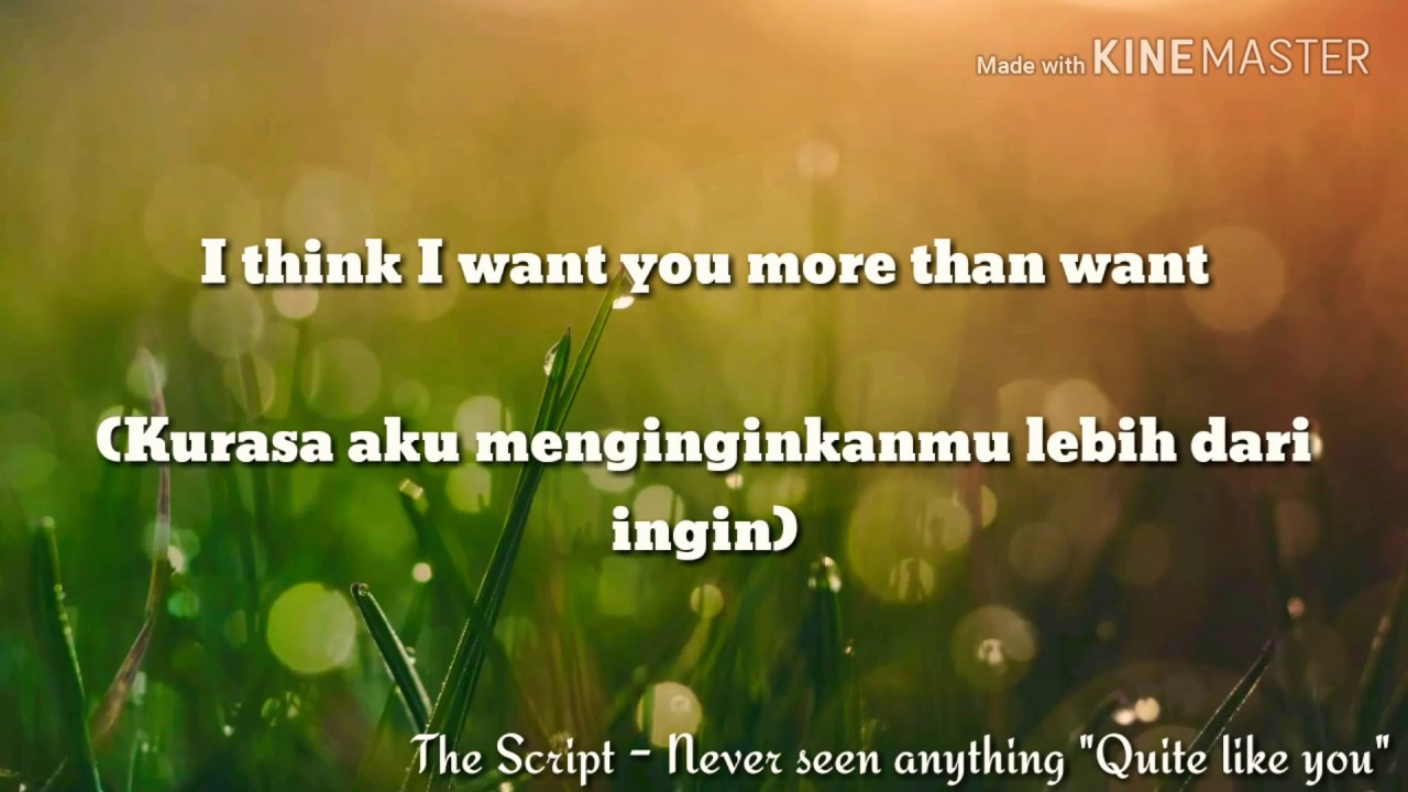 The Man Who Can T Be Moved Lyrics Dan Terjemahan The Script Never Seen Anything Quite Like You Lirik Dan