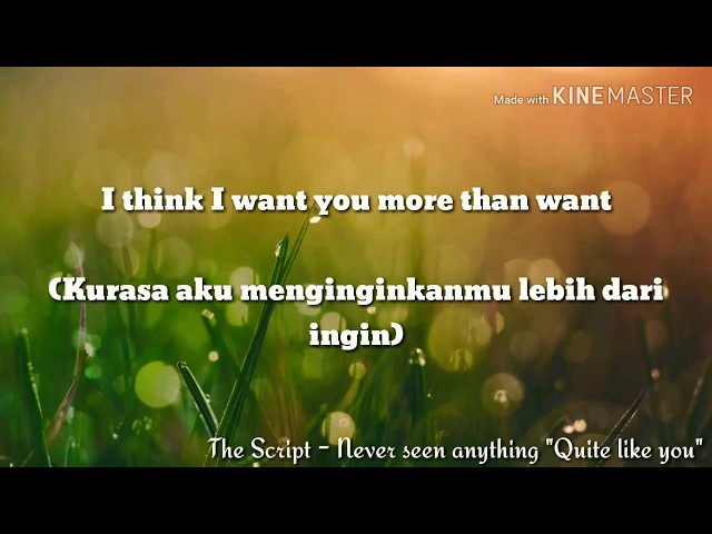 The Script - Never seen anything Quite like you (Lirik dan Terjemahan) class=