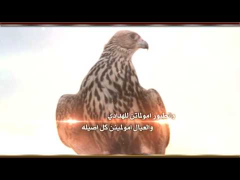 شيلة راكب اللي لا طلبته كلمات محسن حنيف العتيبي اداء عقاب العصيمي مونتاج العرين للتصميم 