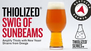 Thiolized® Swig of Sunbeams All Grain Beer Recipe Kit