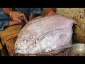 Incredibly Big Black Promfet Fish Cutting Skills By Expert Fisherman | Fastest Pomfret Fish Slicing