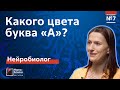 Буквы имеют свой цвет? О синестезии нейробиолог Вера Толченникова / Мозги #7