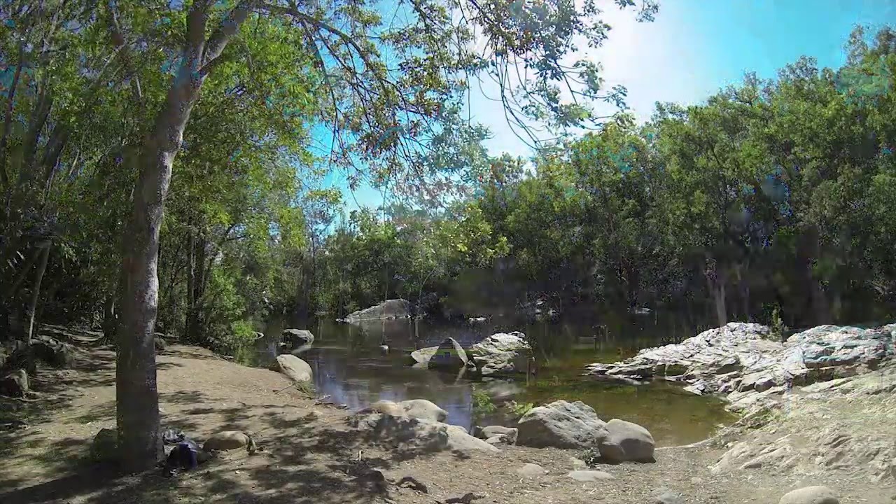 Alligator Creek, Bowling Green Bay Nat Park, Townsville, Qld YouTube