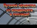 От конденсата в теплице быстренько натягиваем агроволокно.