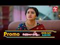 Manasantha Nuvve Latest Promo | Episode No 1364 | 30th May 2026 | ETV Telugu
