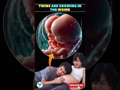 Double the Love: A Peek Inside the Womb as Twins Grow Together #shorts #twins #baby #Pregnancy