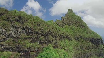 THE FEYNMAN SERIES - Curiosity