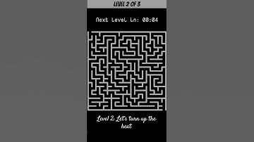 Can YOU Solve These 3 Maze Puzzles?! 🤔 labyrinth challenge