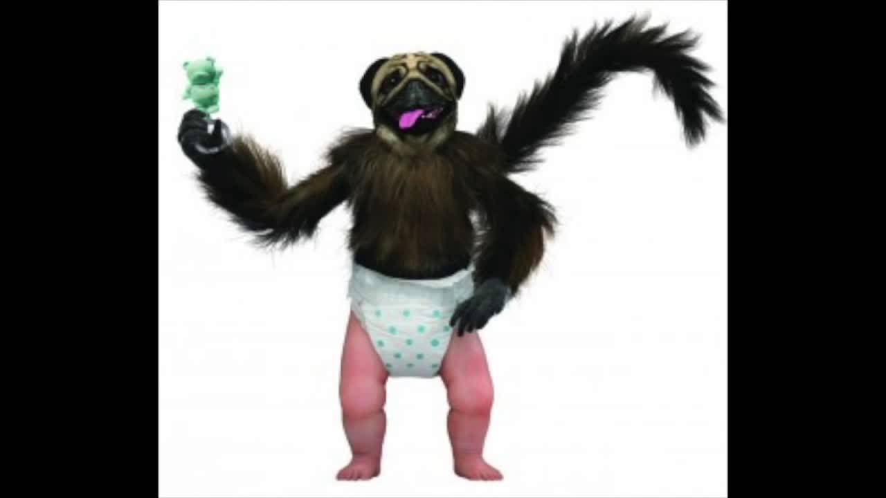 Pitou Singe Bebe Remix Youtube