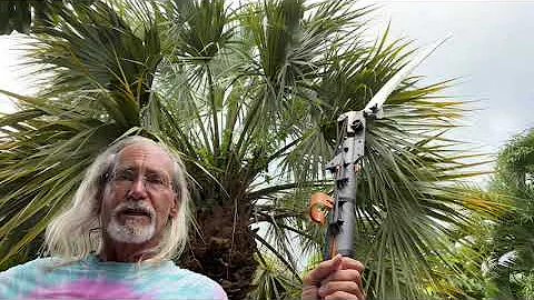 How to use the Fiskars Tree Pole Saw and Cutters